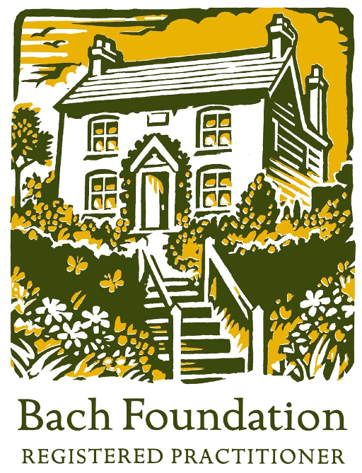 logo bach web 001